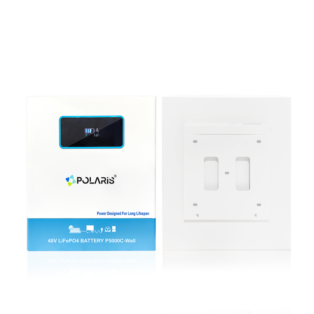 Polaris Energy LiFePO4 Battery Pack LBW-48100